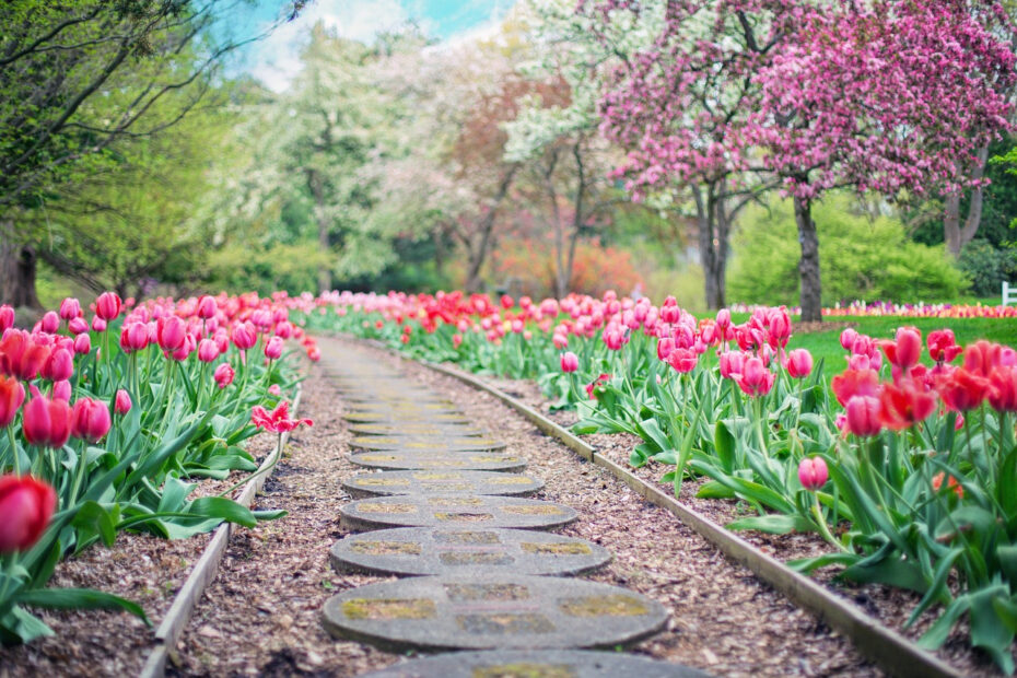 Gardening for Seniors