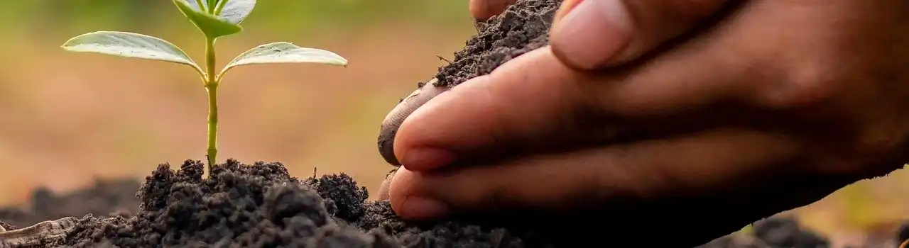 Gardening Soil