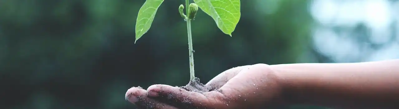 Gardening for Seniors