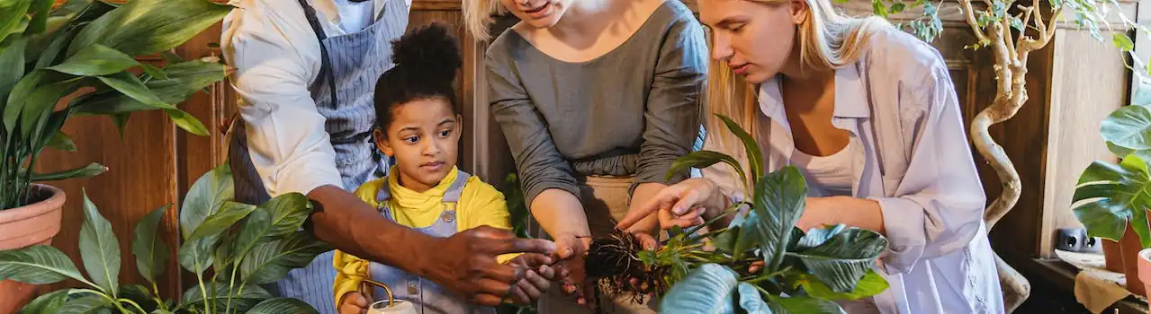 Gardening for Seniors