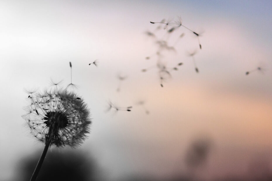 Finding the Gift Within the Suffering: A Perspective on Purpose and Redemption 1 Suffering