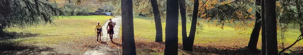 Trends for 2026: The Year of Flourishing 10 2026 Trends